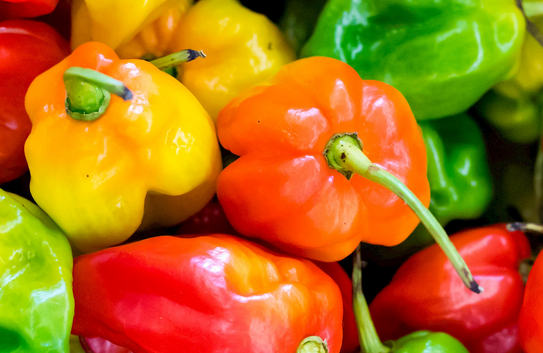 Food and Feed Changes 14th January 2019 image