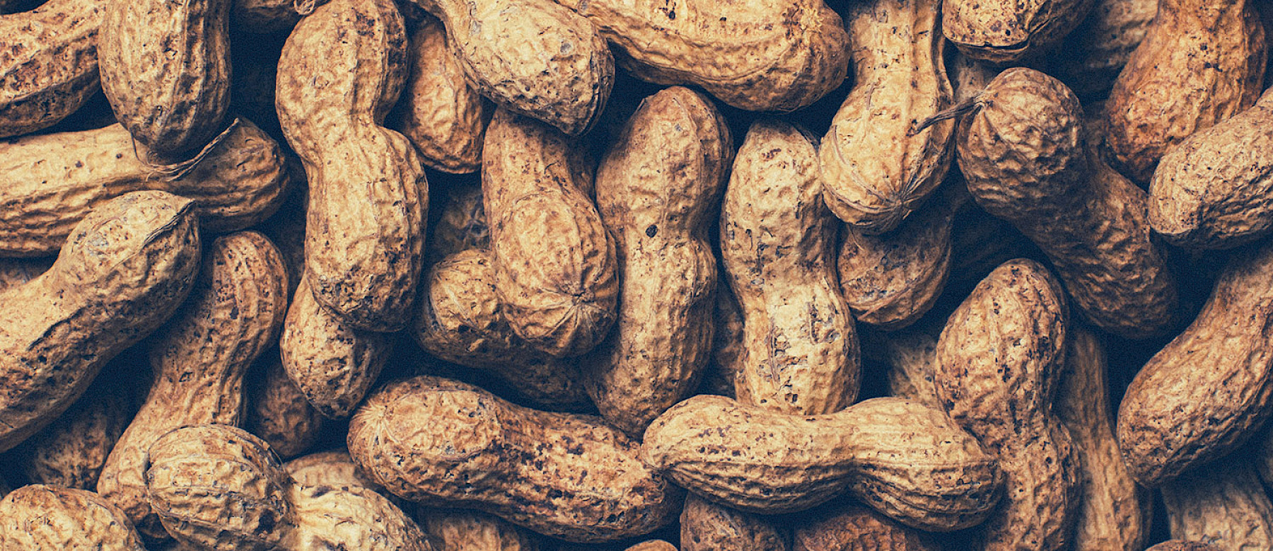 Groundnuts from Gambia and Sudan image