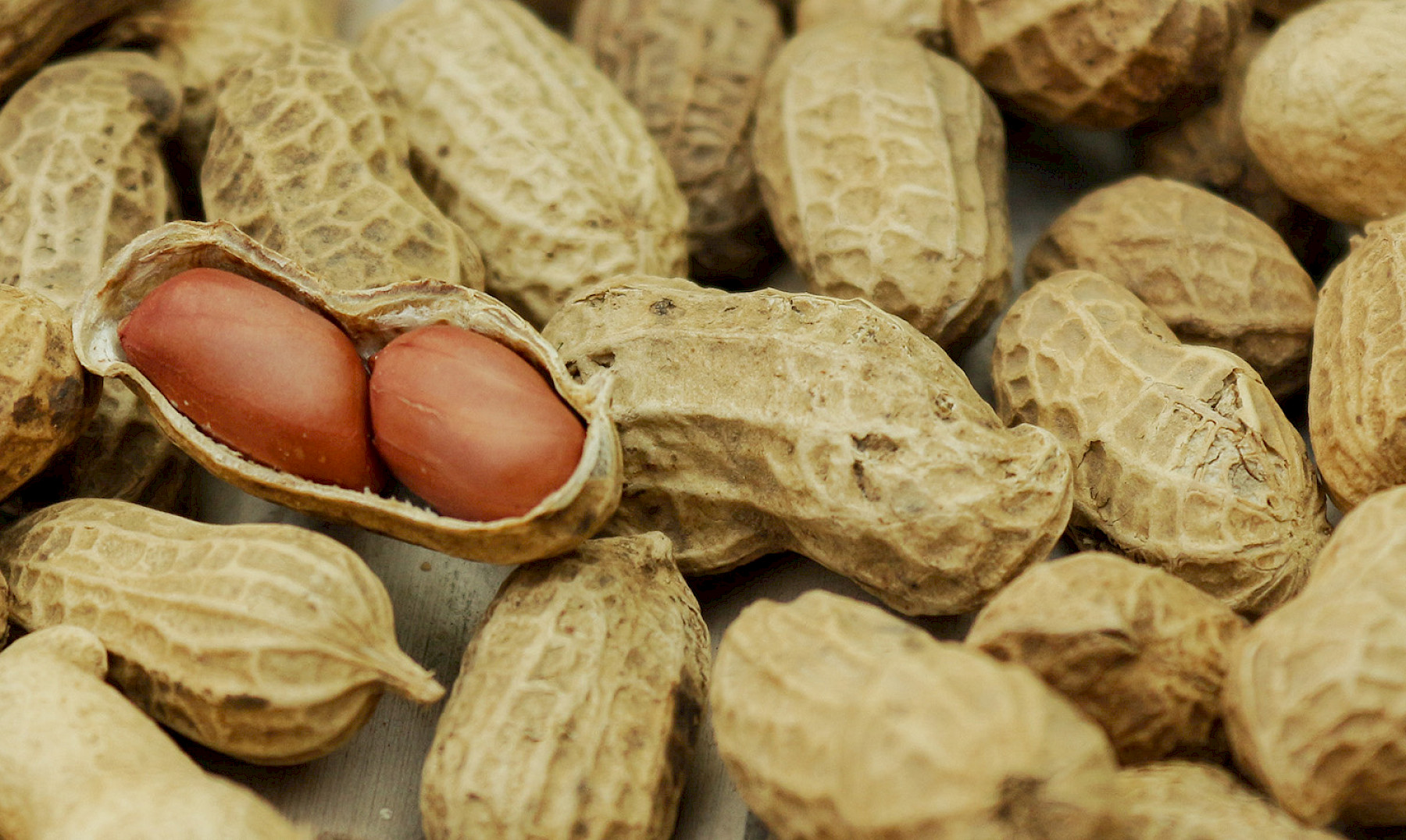 Health Certification Feed Controls Aflatoxin image
