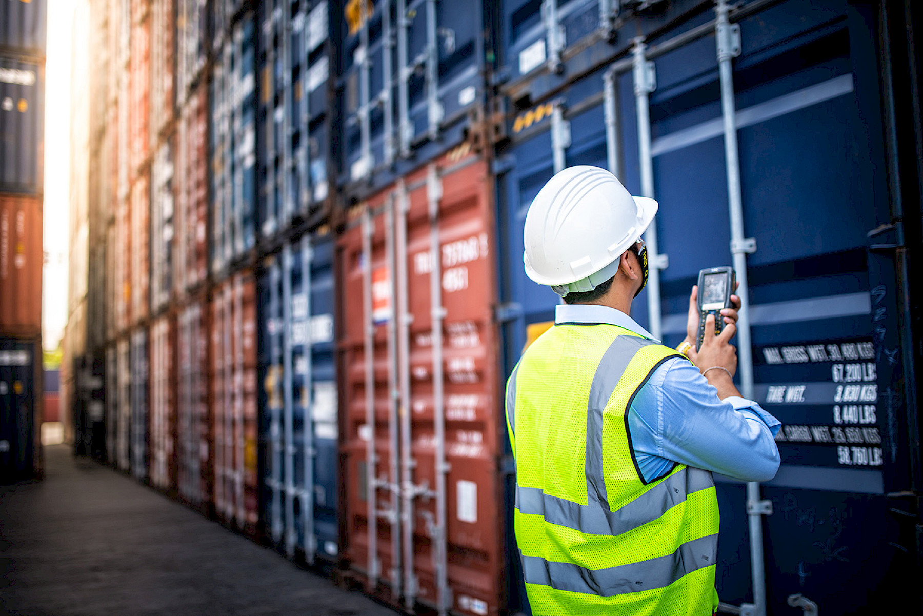 DEFRA IMPORT AND EXPORT NEWSLETTER – 25/09/2019 image
