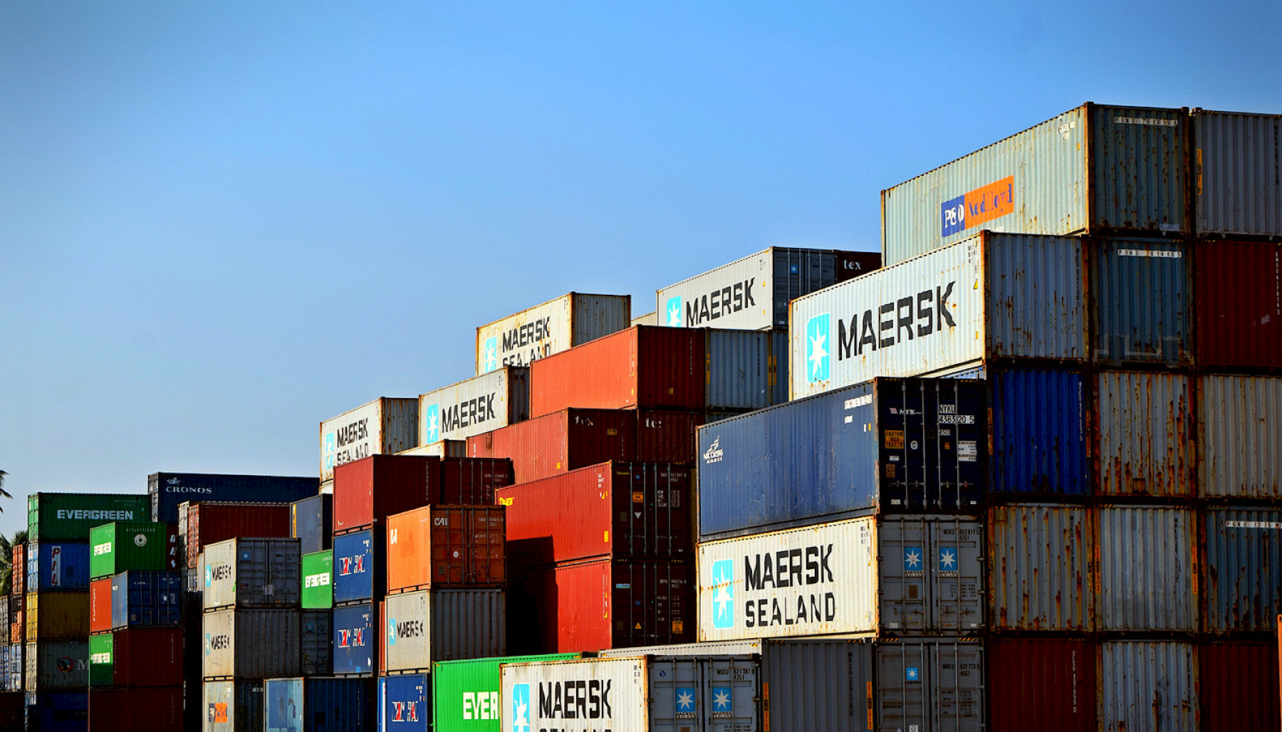 DEFRA IMPORT & EXPORTS NEWSLETTER - 29/01/2020 image