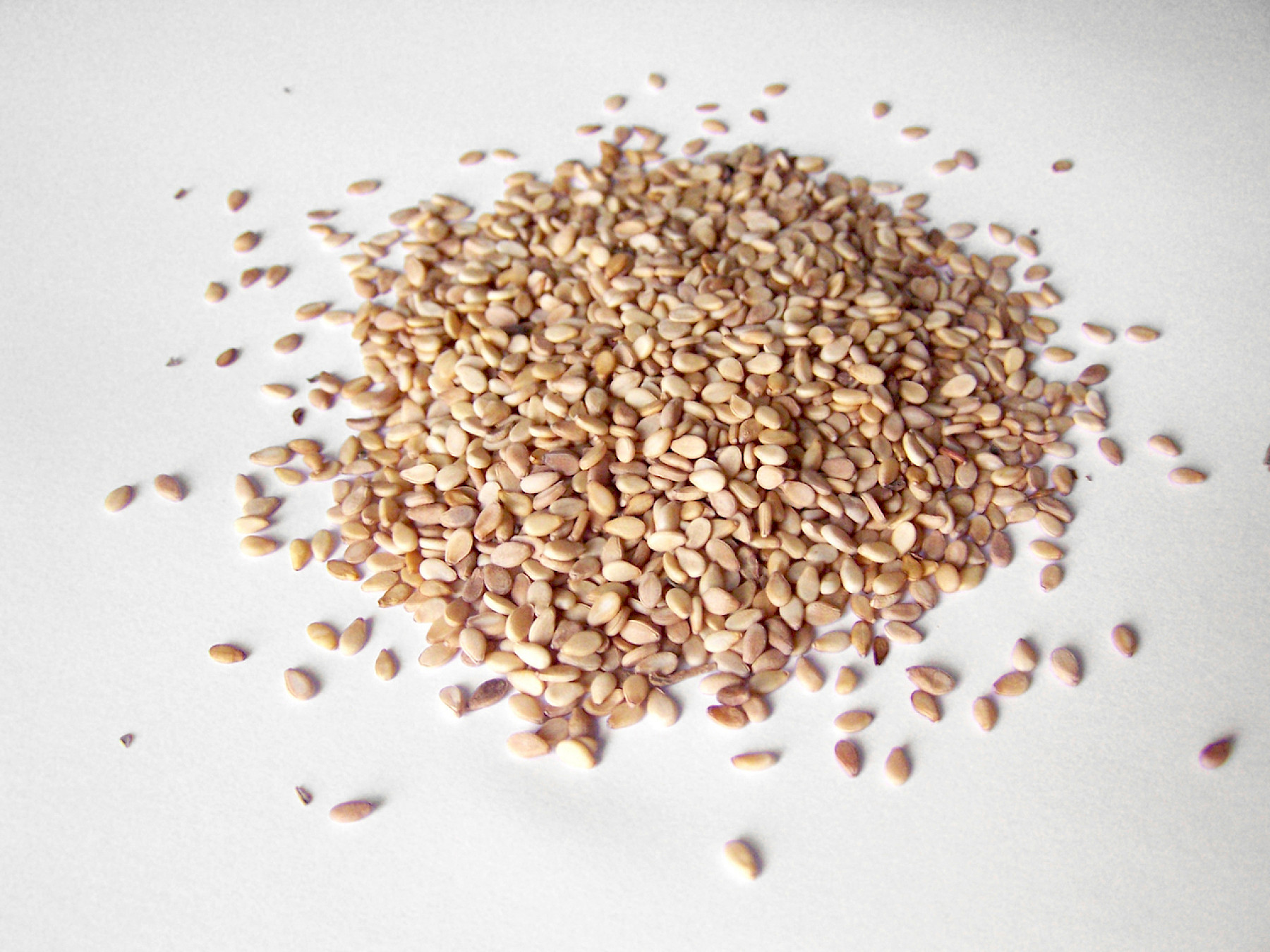 Sesame Seeds from India image