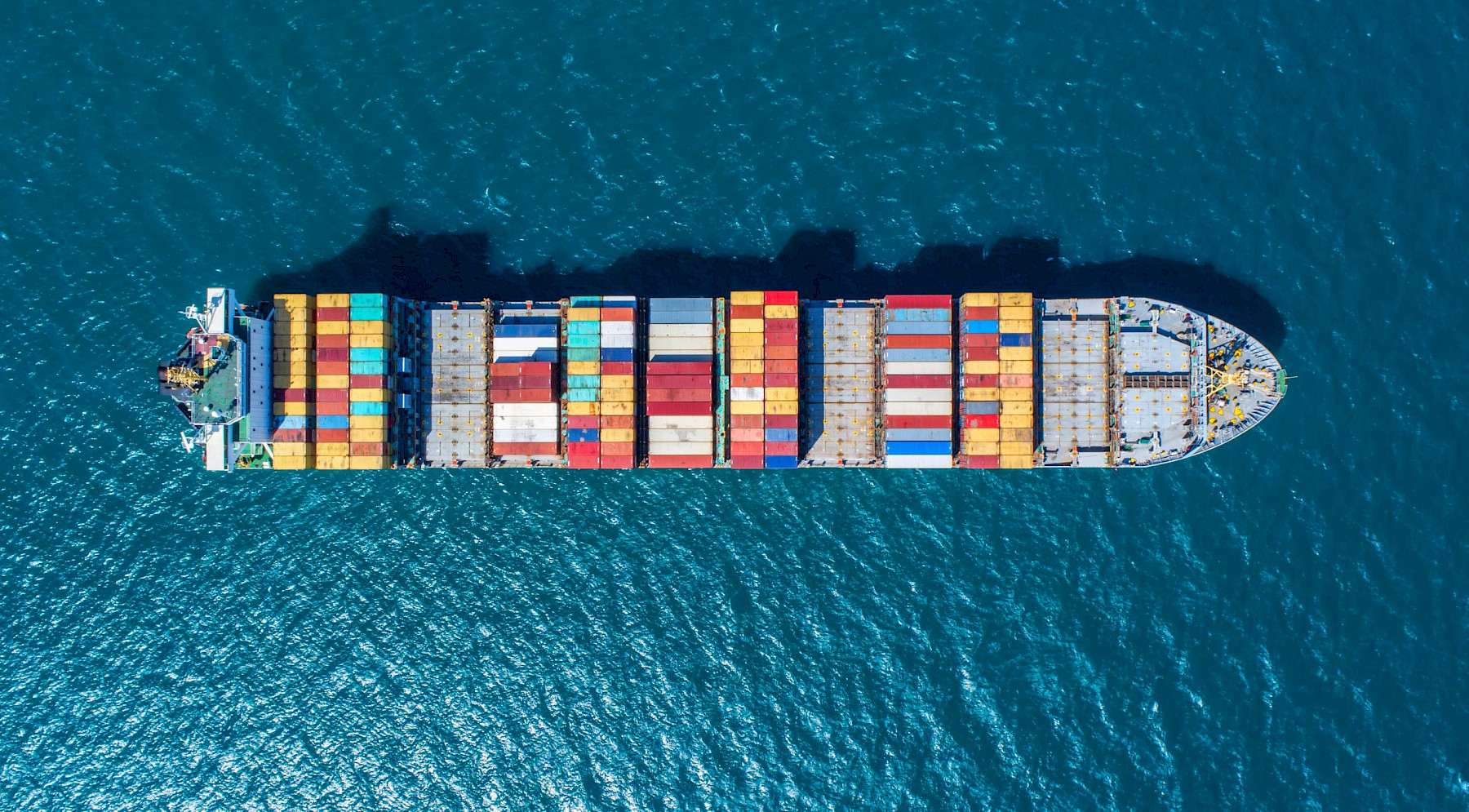 Important EU Import Requirements for POAO & HRFNAO Effective 31st January 2024 image