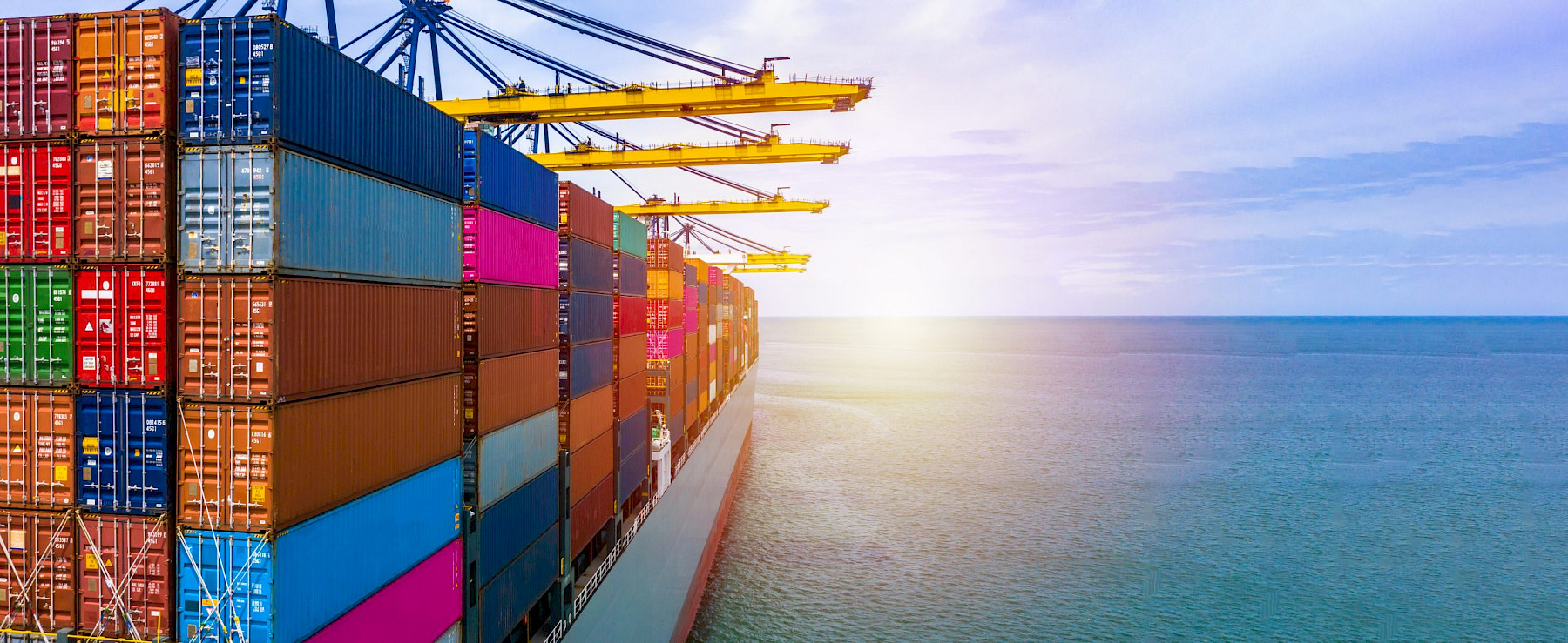 New Border Controls for High-Risk Food Not of Animal Origin (HRFNAO) Imported via EU/EEA image