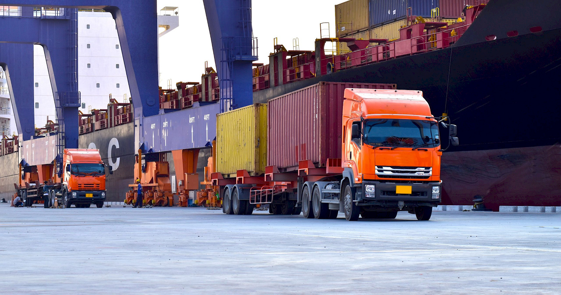 8 weeks to go – Additional import controls are coming on 30 April image