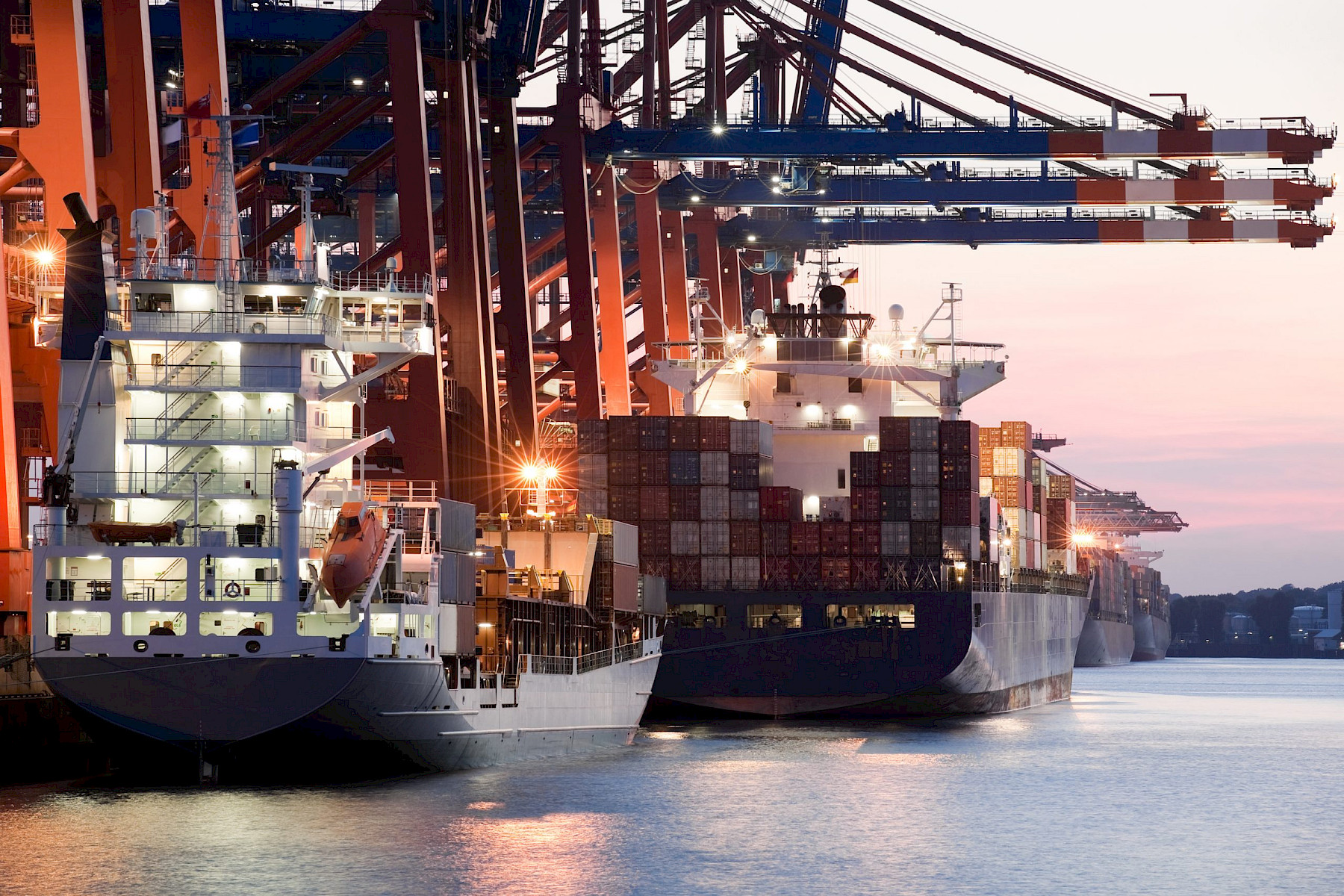 Foot and Mouth Disease Controls and Measures to Ease Delays image