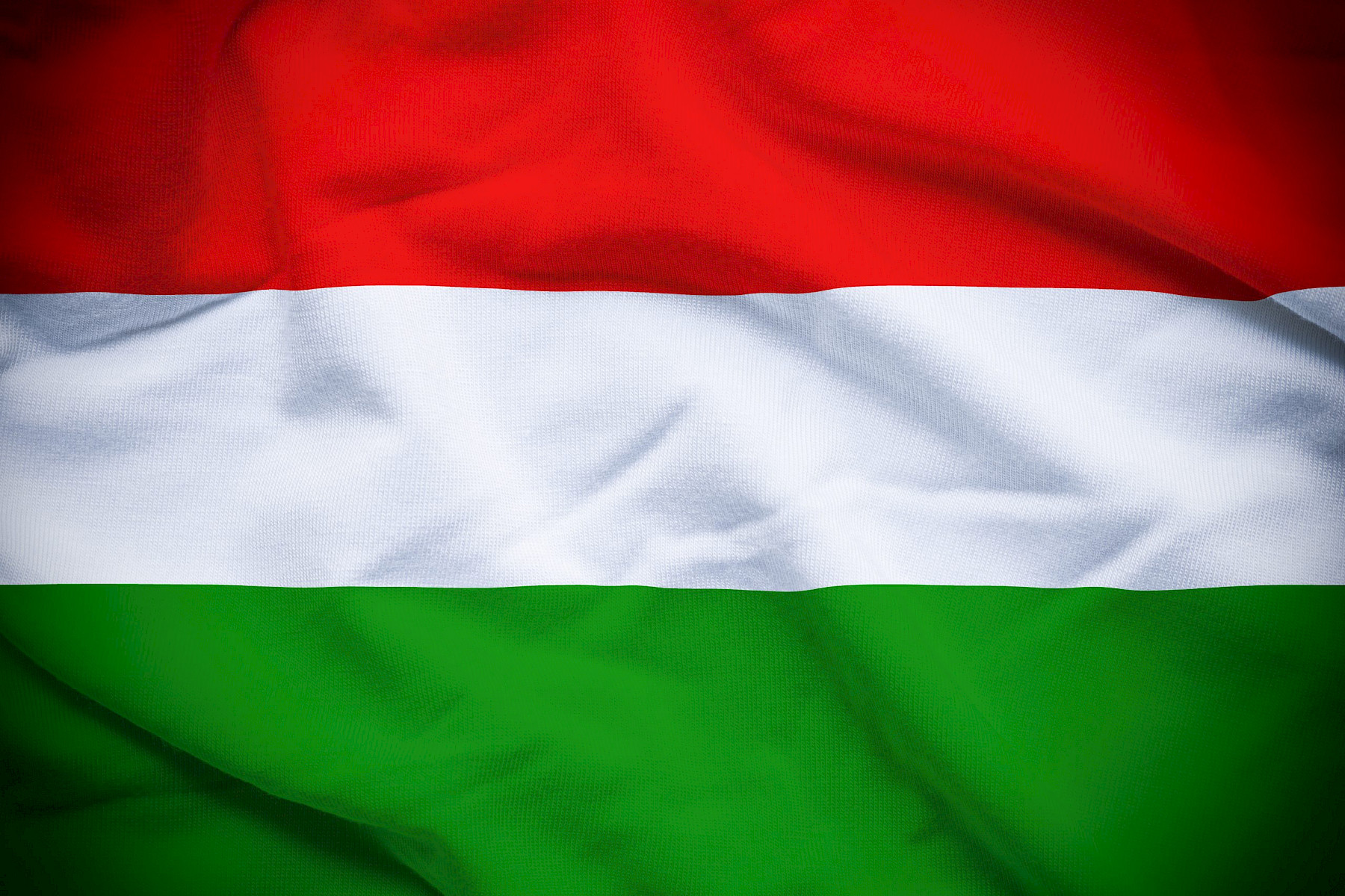 Foot and mouth disease in Hungary 7th March image
