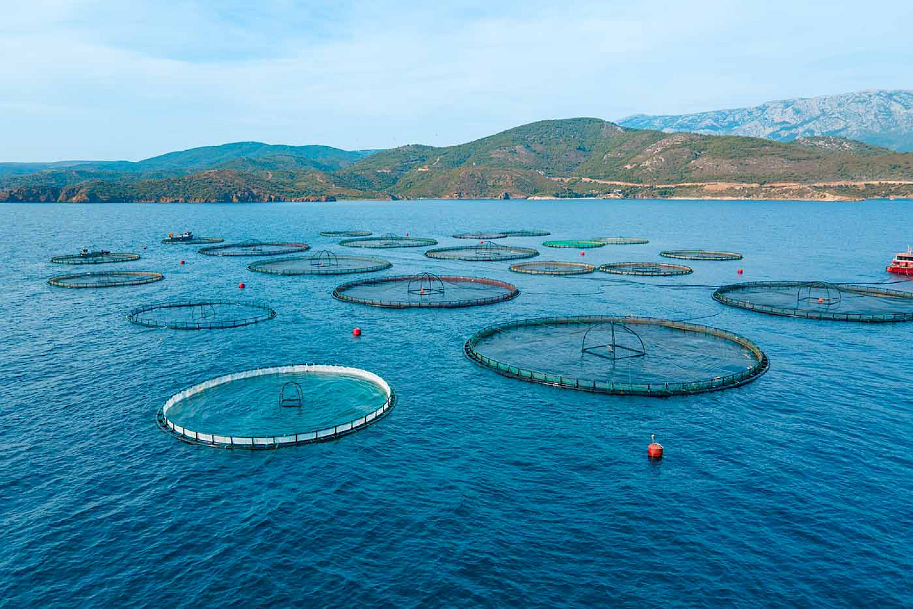 UK IUU regulation update planned for November 2026 image